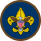 Scouts BSA